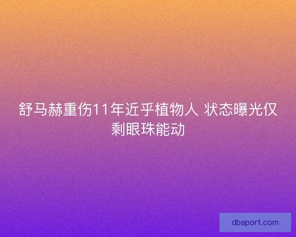 舒马赫重伤11年近乎植物人 状态曝光仅剩眼珠能动